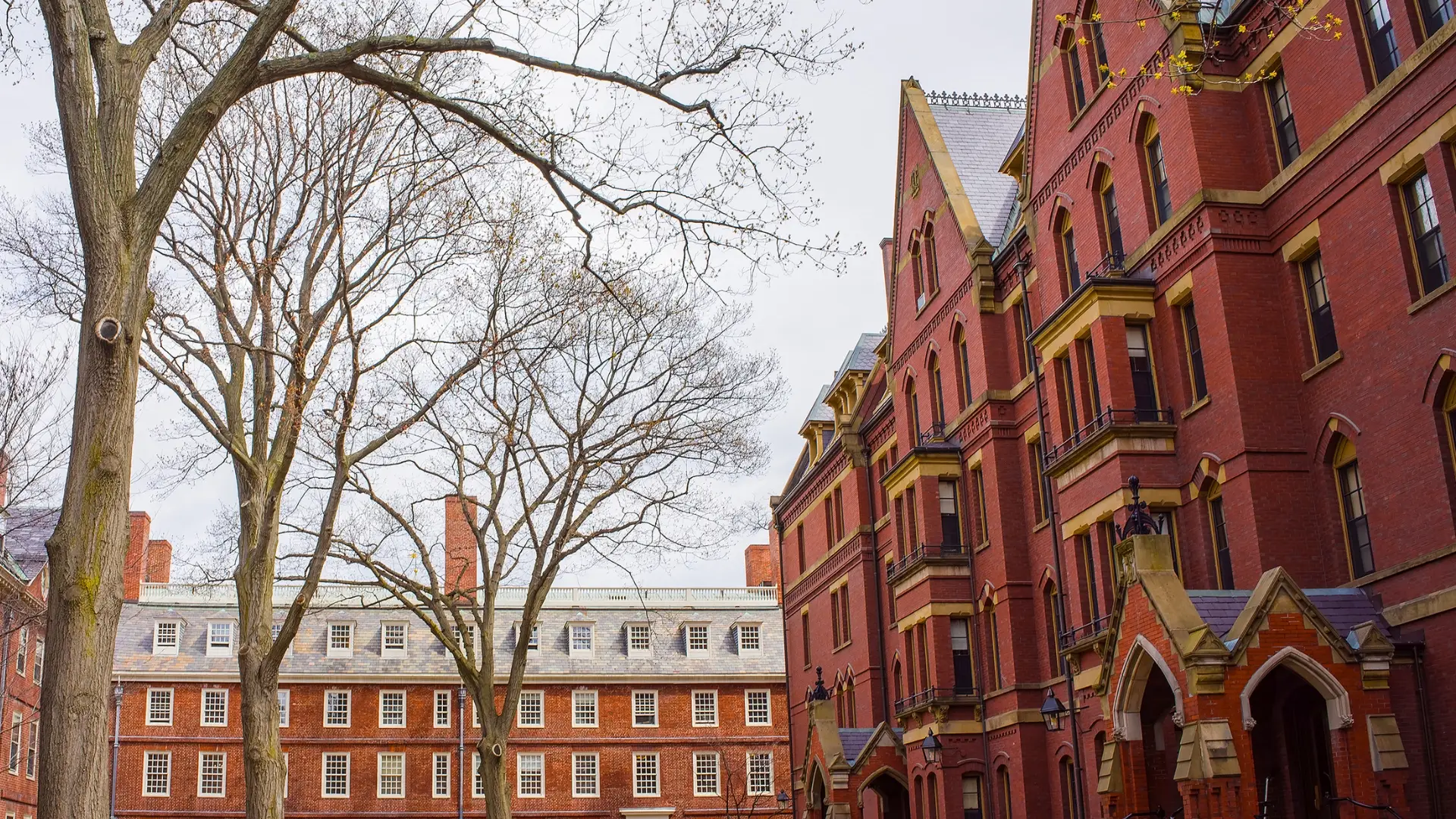 Harvard University historic red-brick campus building with bare trees